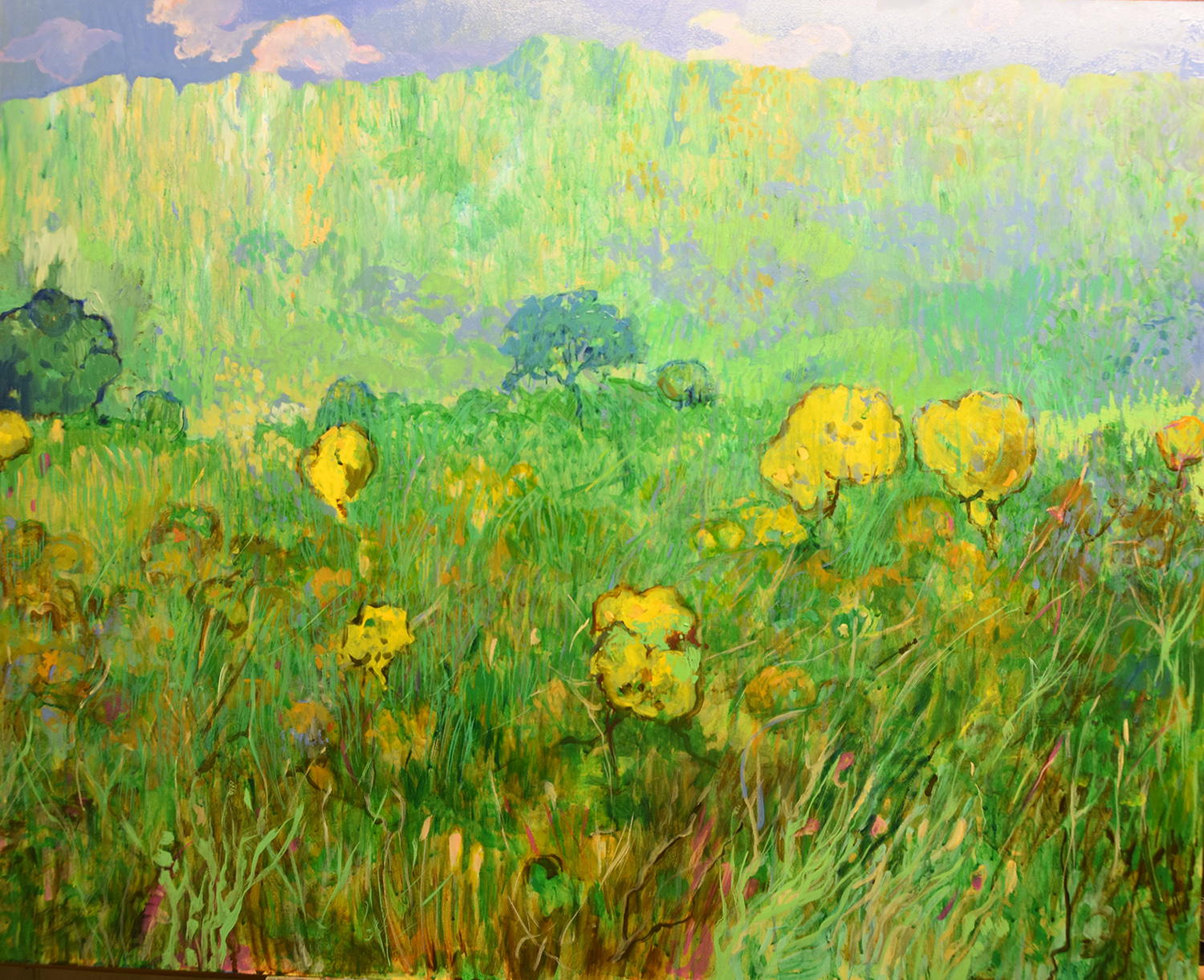 Girasoles en Nodalo